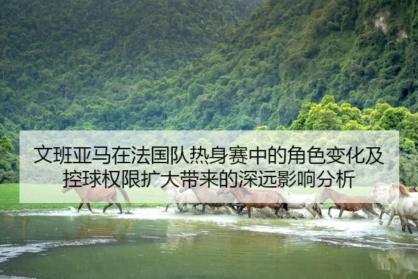 文班亚马在法国队热身赛中的角色变化及控球权限扩大带来的深远影响分析 - HTH Sports