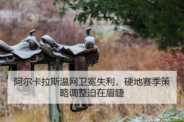 a-er-ka-la-si-wen-wang-wei-mian-shi-li-ying-di-sai-ji-ce-lve-tiao-zheng-po-zai-mei-jie-2-939.jpg