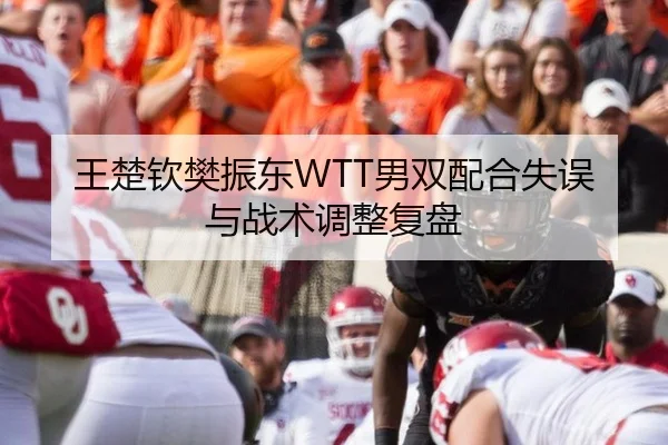 王楚钦樊振东WTT男双配合失误与战术调整复盘